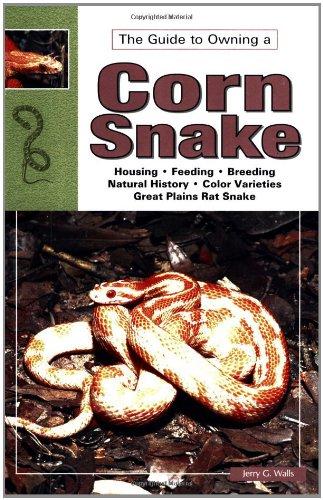 Corn and Red Rat Snakes (Guide to Owning A.)