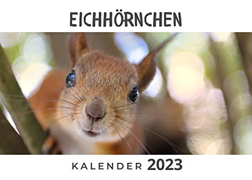 Eichhörnchen: Kalender 2023