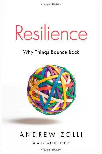 Resilience: Why Things Bounce Back