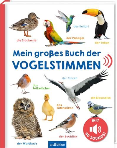 Mein großes Buch der Vogelstimmen: Mit 40 Sounds | Hochwertiges Soundbuch mit realistischen Sounds für Kinder ab 24 Monaten