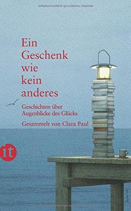 Ein Geschenk wie kein anderes: Geschichten über Augenblicke des Glücks (insel taschenbuch)