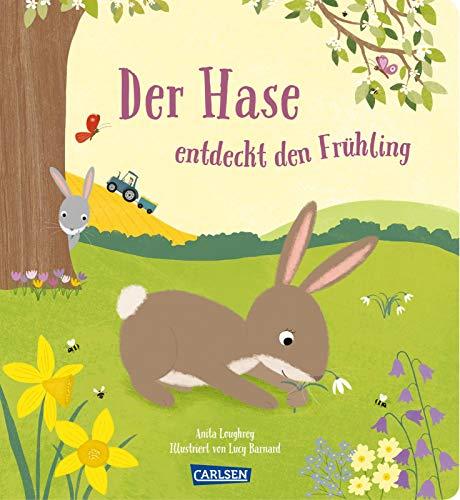 Der Hase entdeckt den Frühling