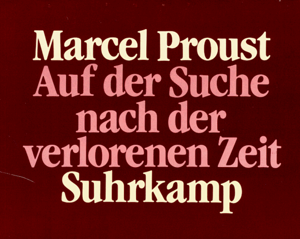 Auf der Suche nach der verlorenen Zeit, 10 kleine Bände, Übersetzung von Eva Rechel-Mertens