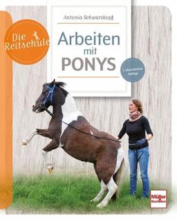 Arbeiten mit Ponys (Die Reitschule)