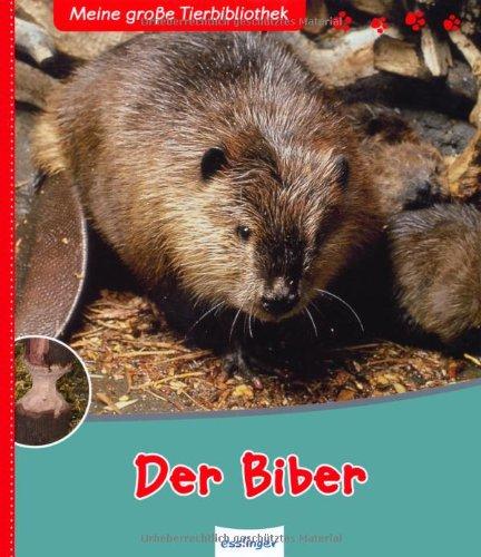 Der Biber