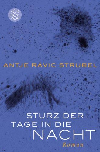 Sturz der Tage in die Nacht: Roman