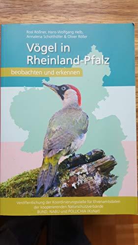 Vögel in Rheinland-Pfalz beobachten und erkennen