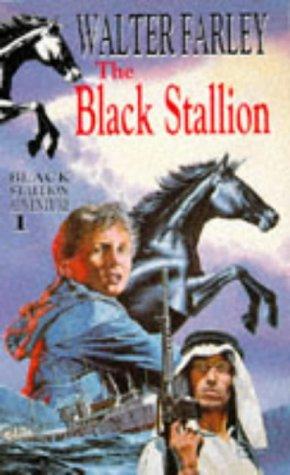 The Black Stallion (Knight Books)