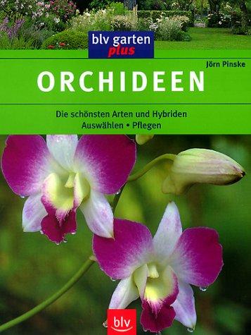 Orchideen