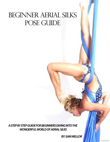 Beginner Aerial Silks Pose Guide (The Aerial Attitude)