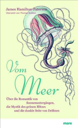 Vom Meer: Über die Romantik von Sonnenuntergängen, die Mystik des grünen Blitzes und die dunkle Seite von Delfinen