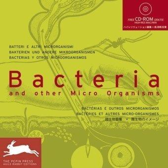 Bacteria