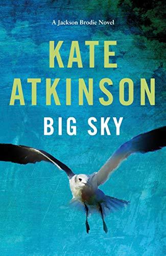 Big Sky (Jackson Brodie, Band 5)