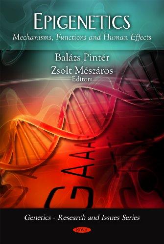 Epigenetics: Mechanisms, Functions & Human Effects (Genetics - Research and Issues)