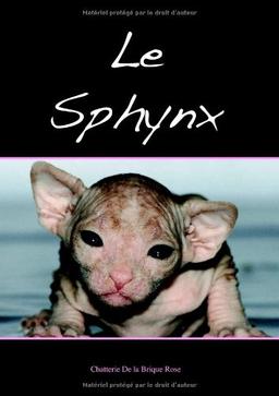 Le sphynx