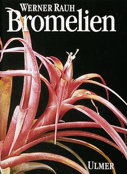 Bromelien. Tillandsien und andere kulturwürdige Bromelien