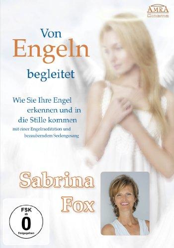 Von Engeln begleitet. Wie Sie Ihre Engel erkennen und in die Stille kommen