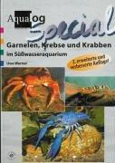 Garnelen, Krebse und Krabben im Süßwasser-Aquarium