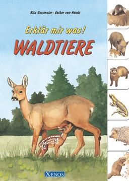 Waldtiere