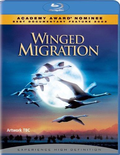 Winged Migration