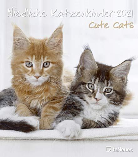 Niedliche Katzenkinder 2021 - Wand-Kalender - Tier-Kalender - 30x34: Cute Cats