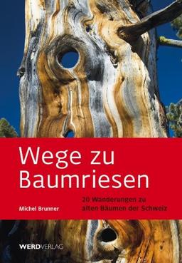 Wege zu Baumriesen: 20 Wanderungen zu alten Bäumen der Schweiz