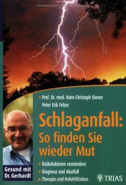 Schlaganfall: So finden Sie wieder Mut: Risikofaktoren vermindern. Diagnose und Akutfall. Therapie und Rehabilitation