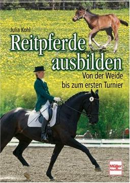 Reitpferde ausbilden: Von der Weide bis zum ersten Turnier