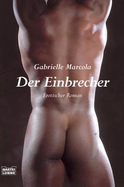 Der Einbrecher: Erotischer Roman