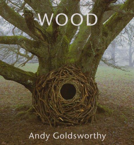 Wood: Andy Goldsworthy