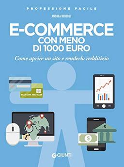 E-commerce con meno di 1000 euro: Come aprire un sito e renderlo redditizio (Professione Facile)