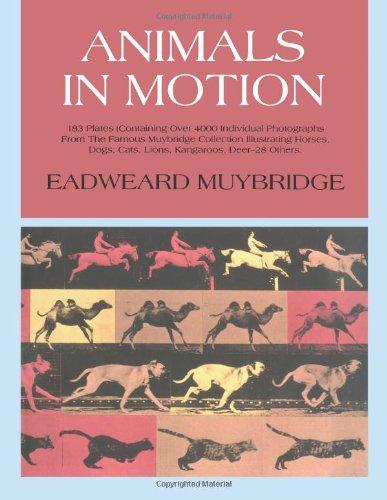 Animals in Motion (Dover Anatomy for Artists)