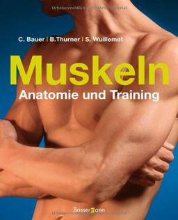 Muskeln - Anatomie & Training