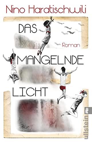 Das mangelnde Licht: Roman | Der jüngste Roman der großen georgisch-deutschen Erzählerin – wochenlang auf der Bestsellerliste und von Kritikern hoch gelobt