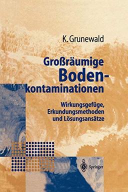 Großräumige Bodenkontaminationen: Wirkungsgefüge, Erkundungsmethoden und Lösungsansätze (German Edition)