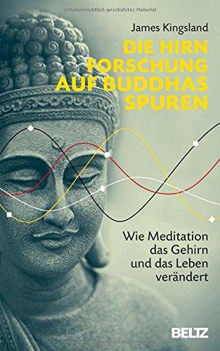 Die Hirnforschung auf Buddhas Spuren: Wie Meditation das Gehirn und das Leben verändert