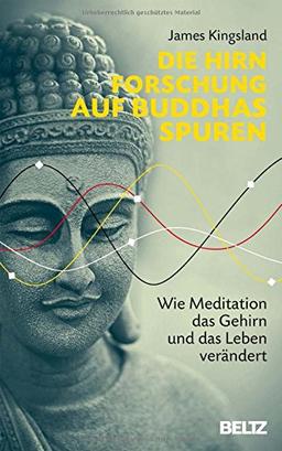 Die Hirnforschung auf Buddhas Spuren: Wie Meditation das Gehirn und das Leben verändert