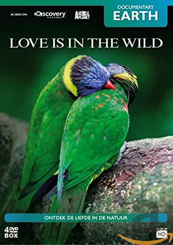 Love Is in the Wild [DVD-AUDIO]