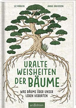 Uralte Weisheiten der Bäume: Was Bäume über unser Leben verraten