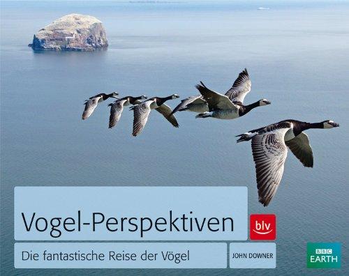 Vogel-Perspektiven: Die fantastische Reise der Vögel