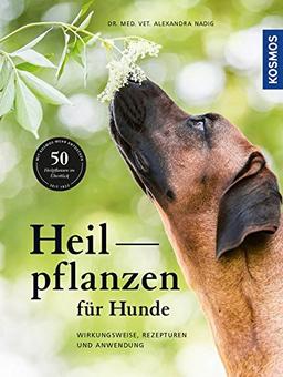 Heilpflanzen für Hunde: Wirkungsweise, Rezepturen und Anwendung