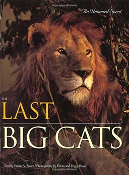 The Last Big Cats: An Untamed Spirit