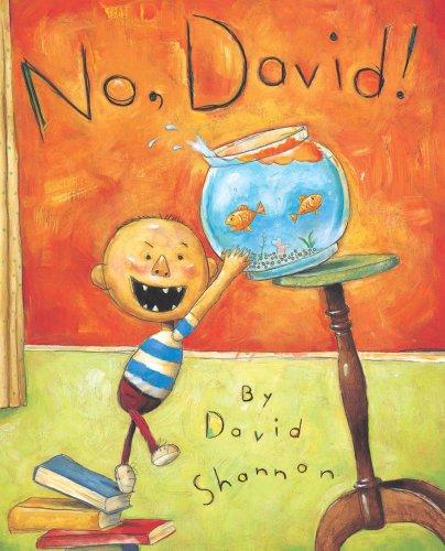 No, David! (Caldecott Honor Book)