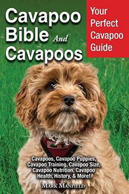 Cavapoo Bible and Cavapoos: Your Perfect Cavapoo Guide Cavapoos, Cavapoo Puppies, Cavapoo Training, Cavapoo Size, Cavapoo Nutrition, Cavapoo Health, History, & More!