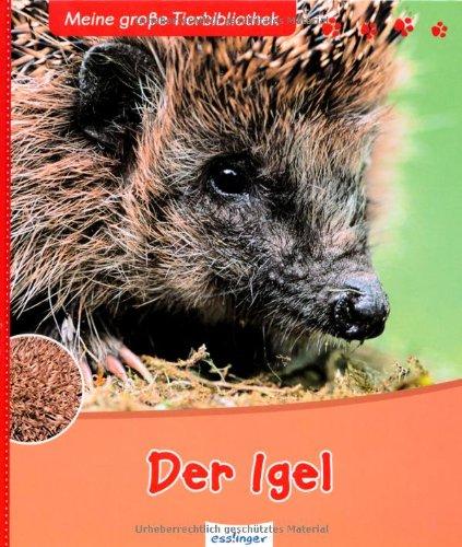 Der Igel