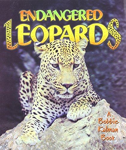 Endangered Leopards (Earth's Endangered Animals)