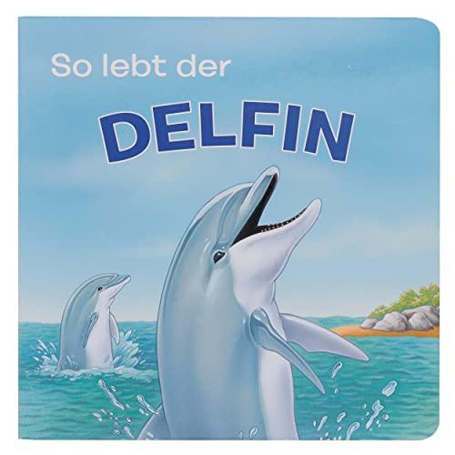 Tierkindergeschichten - So lebt der Delfin - Pappbilderbuch mit farbigen Illustrationen für Kinder ab 18 Monaten