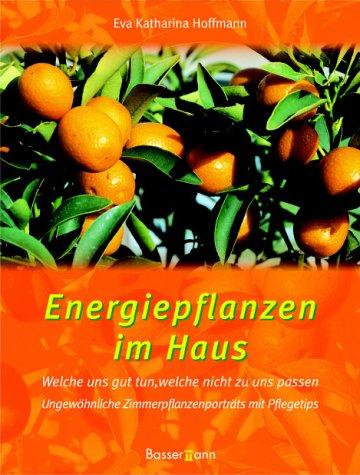 Energiepflanzen im Haus