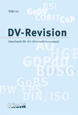 DV-Revision: Handbuch für die Unternehmenspraxis