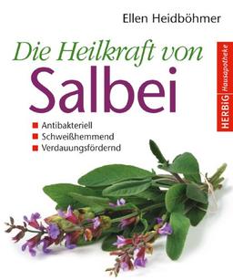 Die Heilkraft von Salbei: Antibakteriell - Schweißhemmend - Verdauungsfördernd